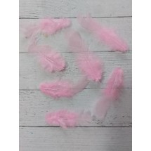 Перья 4*8см цв. розовый, цена за 20 шт