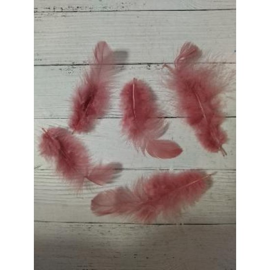 Перья 4*8см цв. пенка, цена за 20 шт