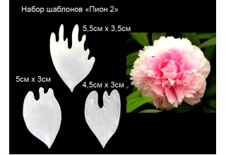 Набор шаблонов "Пион 2" (3 шт)