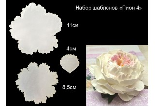 Набор шаблонов "Пион 4"