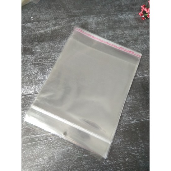 Пакеты фасовочные прозрачные 16*24  см с клеевым клапаном, цена за 10 шт