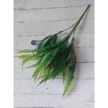Папоротник мелкий 35 см, цена за 1 шт