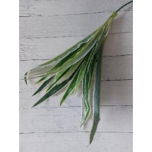 Зелень декоративная, цена за 1 шт