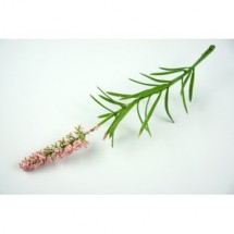 Добавка "Лаванда"  (цвет розовый), цена за 1 шт